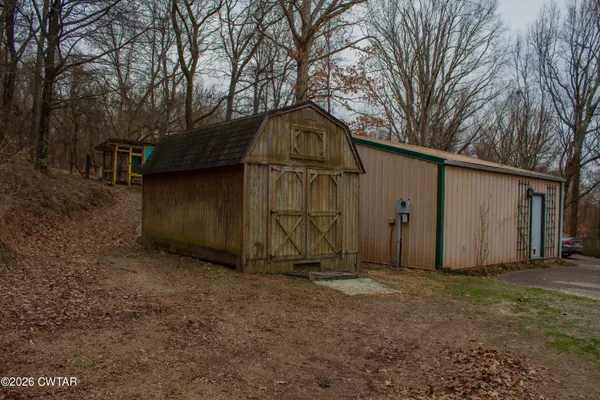 a view of backyard with large tree