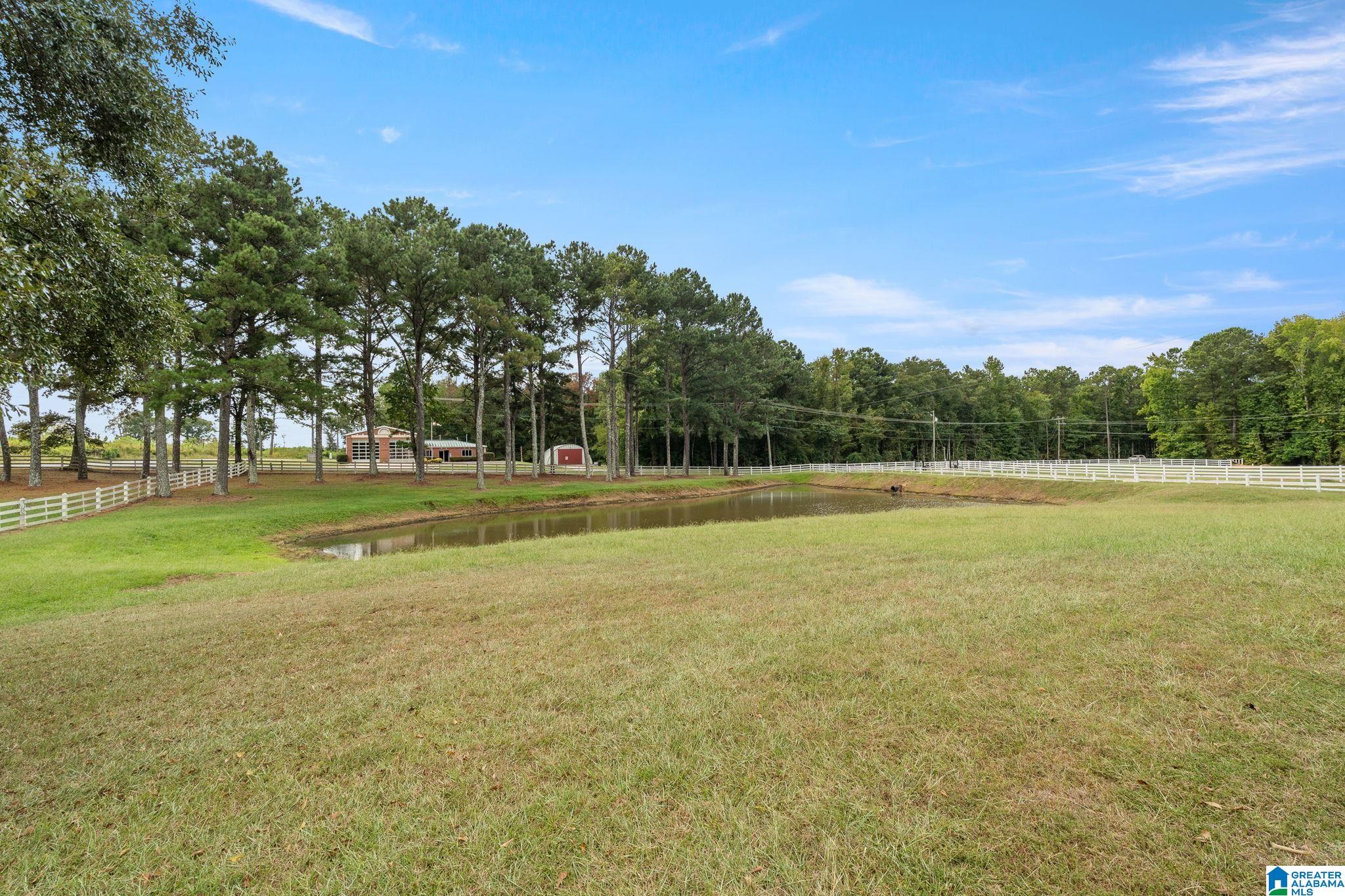 5115 Mays Bend Road Pell City, AL 35128 - Photo 54 of 62 Gallery Image 54