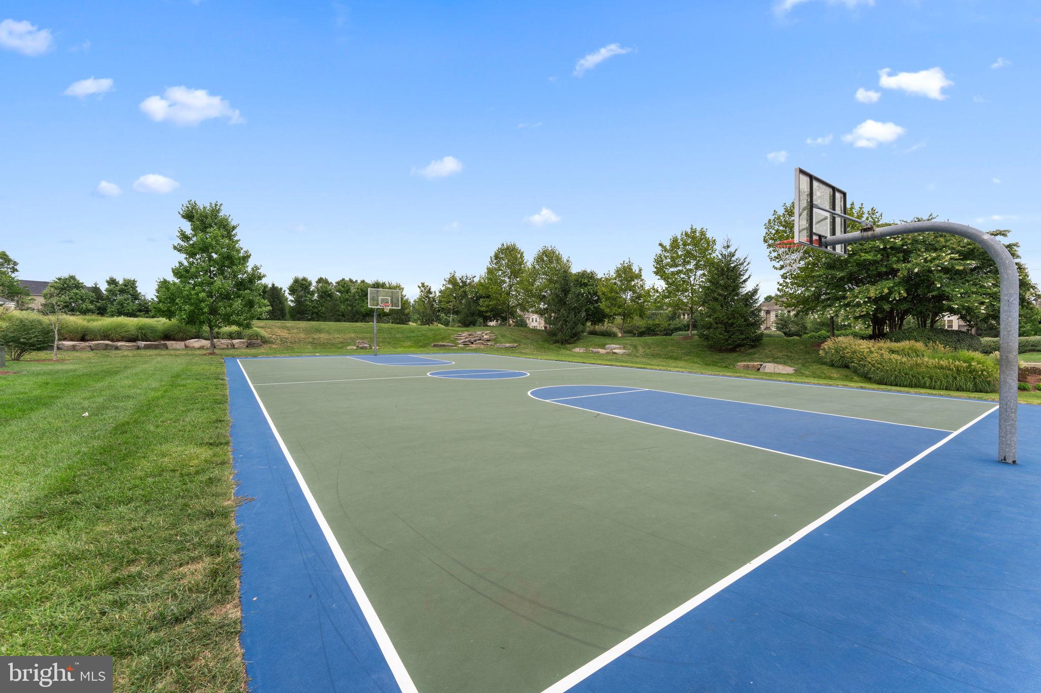 42441 Nickens Place Ashburn, VA 20148 - Photo 50 of 61 Community