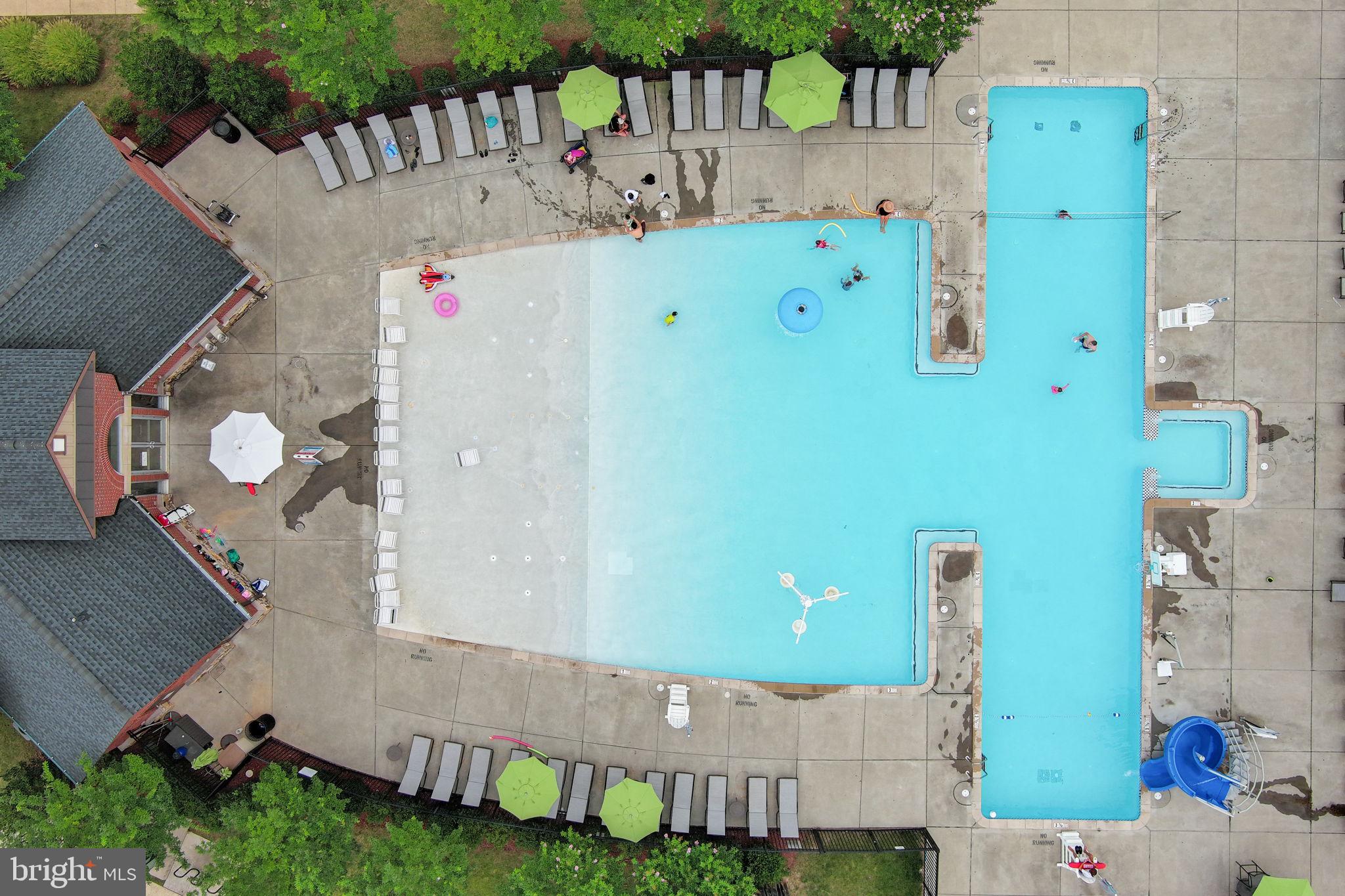 42441 Nickens Place Ashburn, VA 20148 - Photo 56 of 61 Community Pool