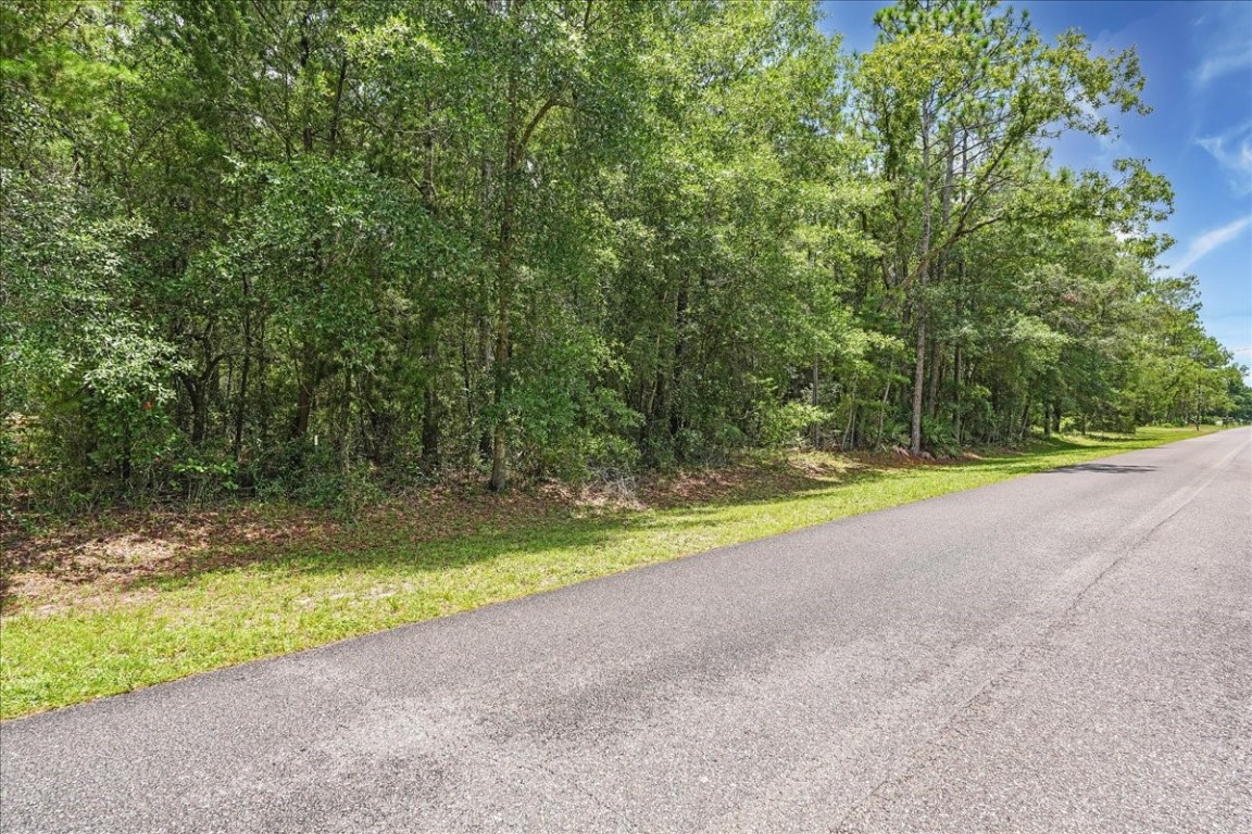 Lot #22 Cardinal Road Yulee, FL 32097 - Photo 4 of 18 Gallery Image 4