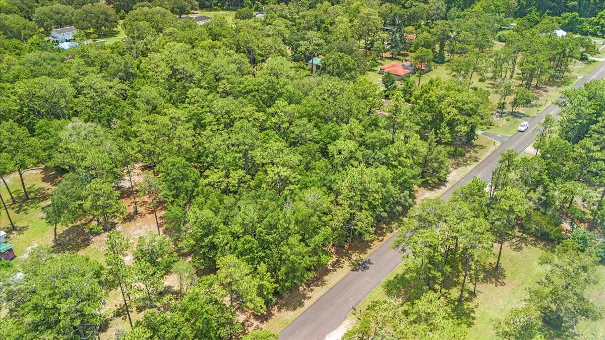 Lot #22 Cardinal Road Yulee, FL 32097 - Photo 5 of 18 Gallery Image 5