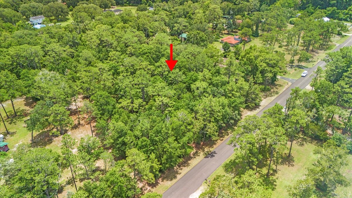 Lot #22 Cardinal Road Yulee, FL 32097 - Photo 6 of 18 Gallery Image 6