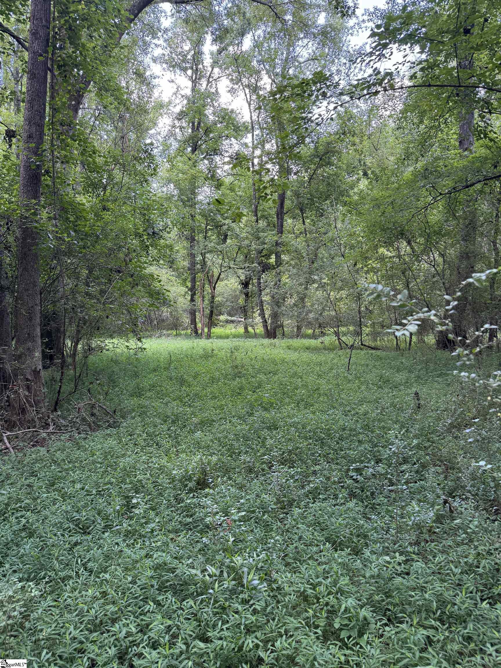 422 Oak Hill Road Belton, SC 29627 - Photo 50 of 50