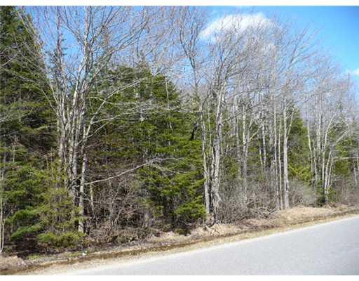 295 Harris Road Searsport, ME 04974 - Photo 2 of 5 Land.