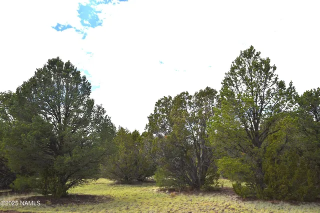 a view of a city with sky view