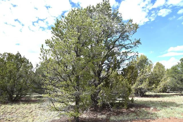 a view of a yard covered with snow