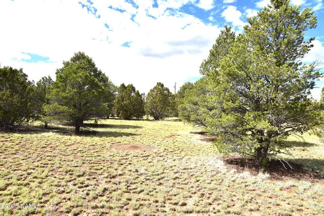 a view of side of snow with yard