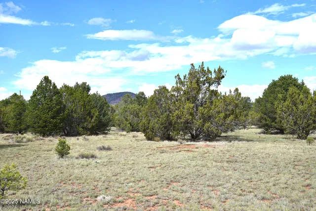 a view of large yard and mountain view