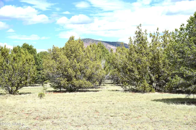 $90,000 | 7748 Daisy Drive, Williams, AZ 86046