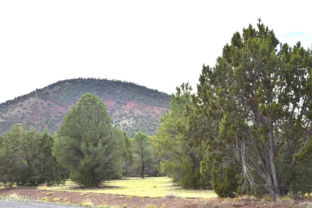 a view of a dry field with mountains in the background