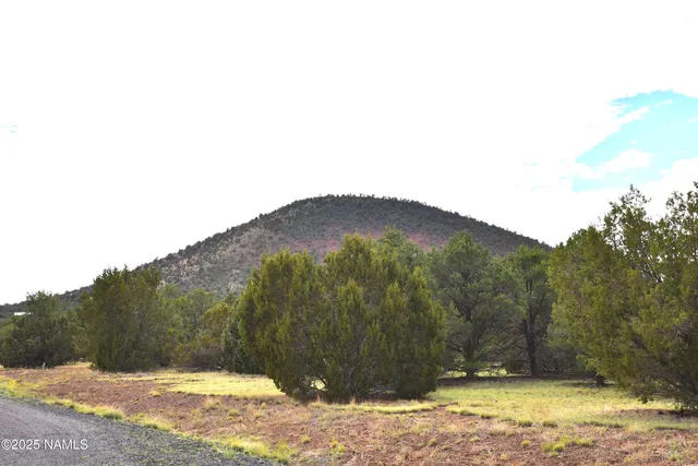 a view of a yard with a tree