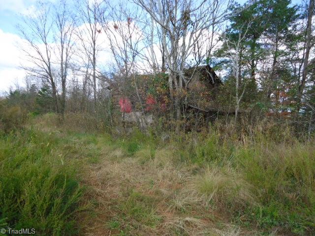 107-ac Amostown Road Sandy Ridge, NC 27046 - Photo 1 of 10