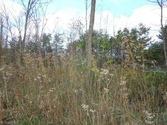107-ac Amostown Road Sandy Ridge, NC 27046 - Photo 5 of 10