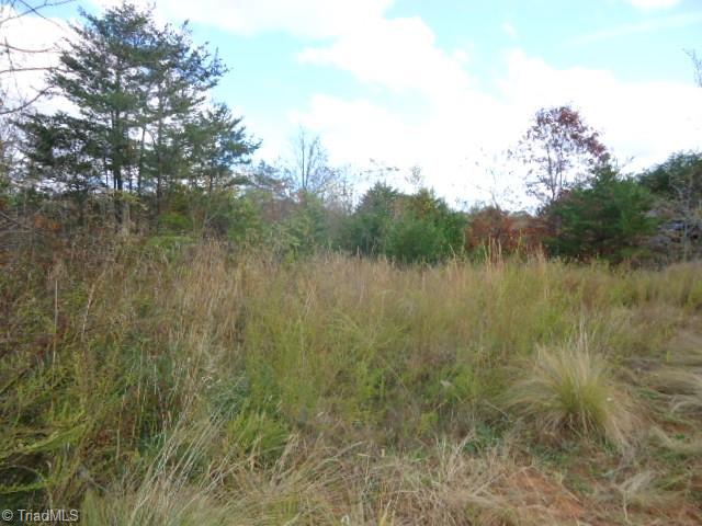 107-ac Amostown Road Sandy Ridge, NC 27046 - Photo 6 of 10