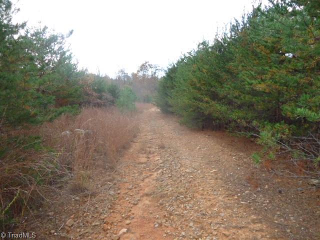 107-ac Amostown Road Sandy Ridge, NC 27046 - Photo 7 of 10