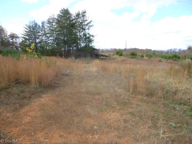 107-ac Amostown Road Sandy Ridge, NC 27046 - Photo 8 of 10