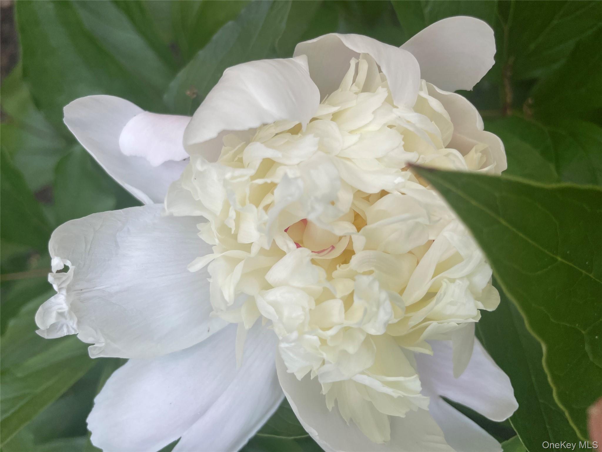 101 Hickory Hill Road Tappan, NY 10983 - Photo 36 of 40 a bathroom with a sink and mirror