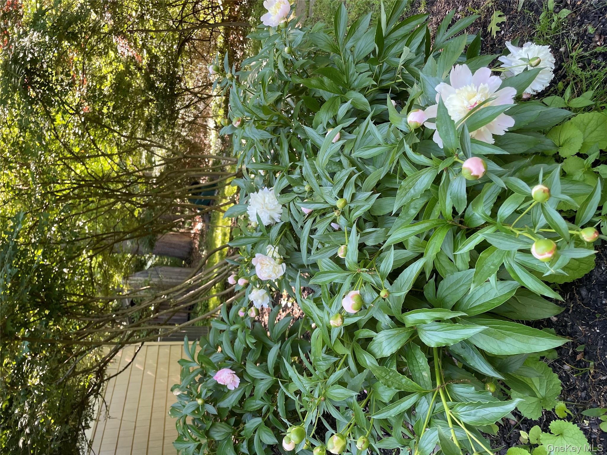 101 Hickory Hill Road Tappan, NY 10983 - Photo 38 of 40 a backyard of a house