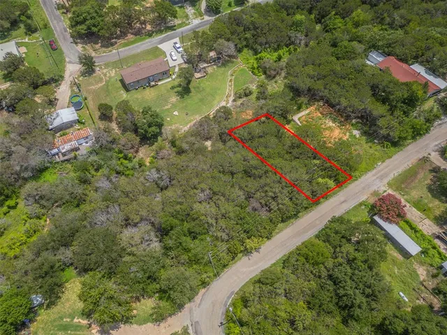 a view of a yard with plants and large trees