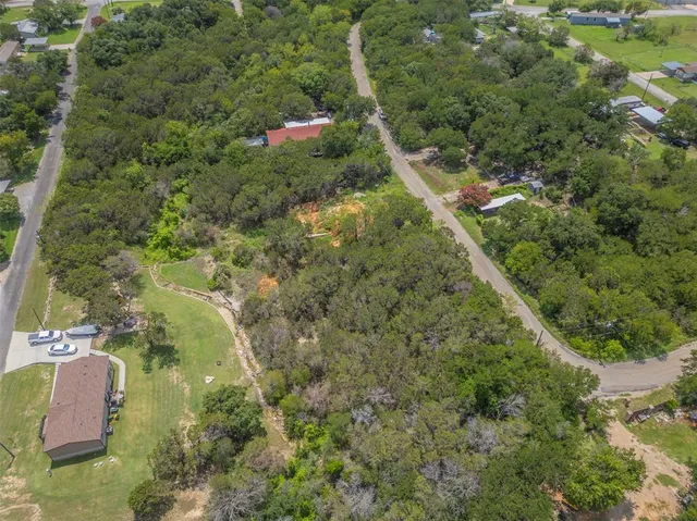 a view of a yard with plants