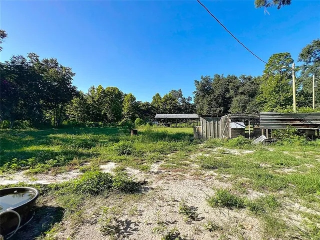 a view of a backyard with plants and a barbeque