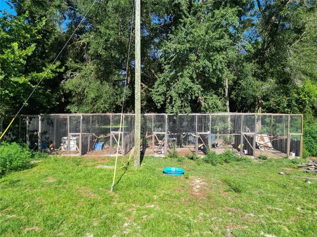 a view of a trees in a yard