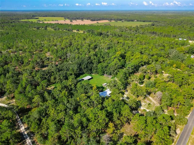 a view of a lush green forest with a houses
