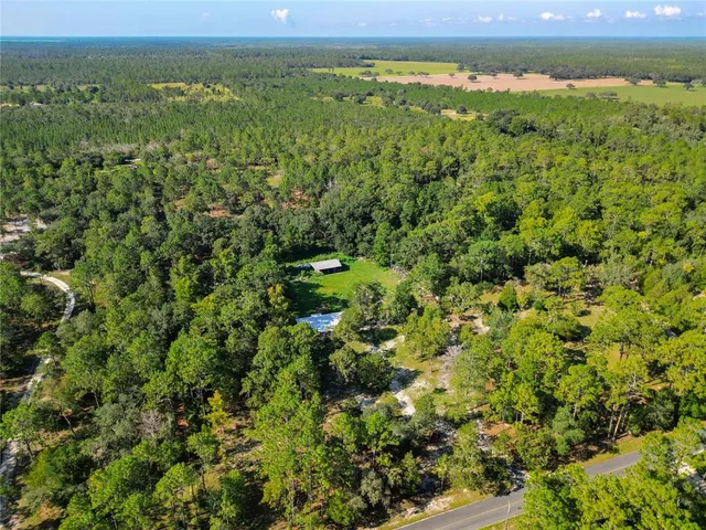 a view of a green field with lots of bushes