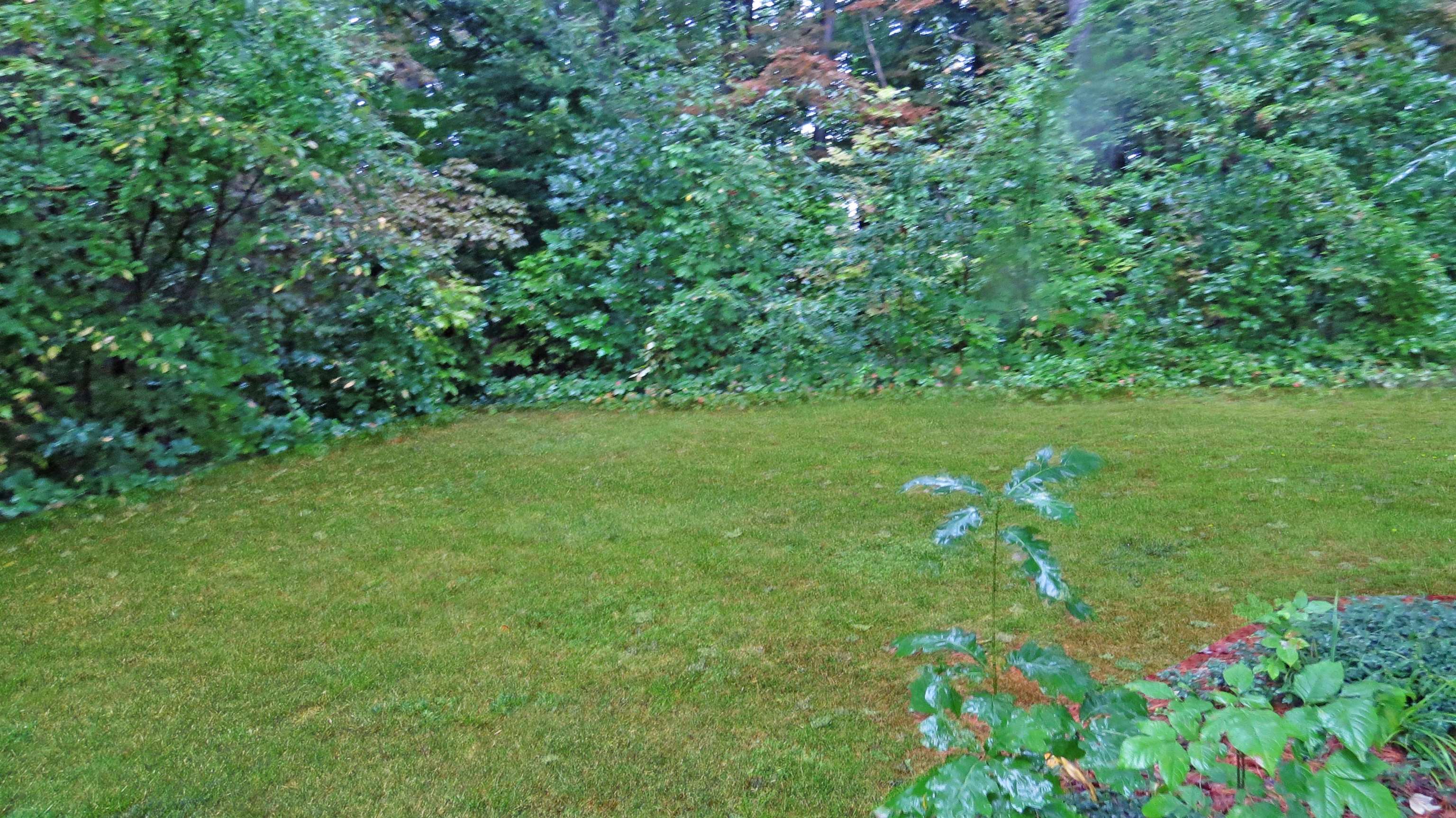 102 Waterloo Street Warner, NH 03278 - Photo 26 of 34