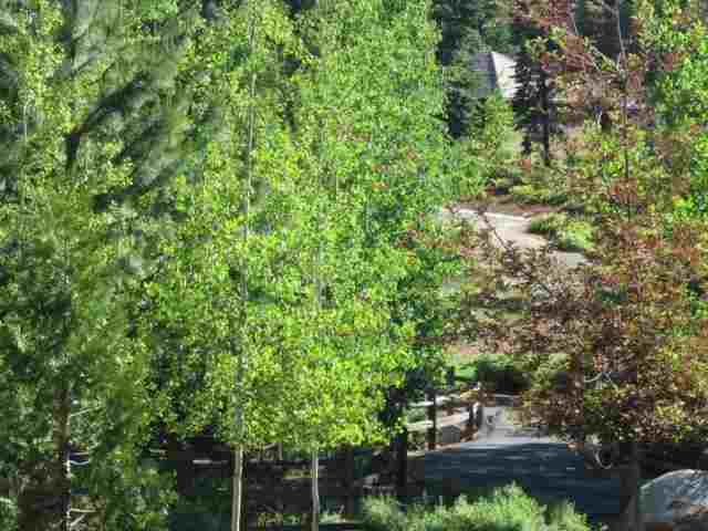 275 Balsam Fir Road, Unit CDRWD Lake Almanor, CA 96137 - Photo 3 of 5 Gallery Image 3