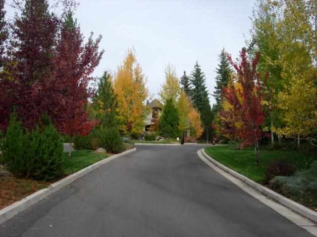 275 Balsam Fir Road, Unit CDRWD Lake Almanor, CA 96137 - Photo 5 of 5 Gallery Image 5