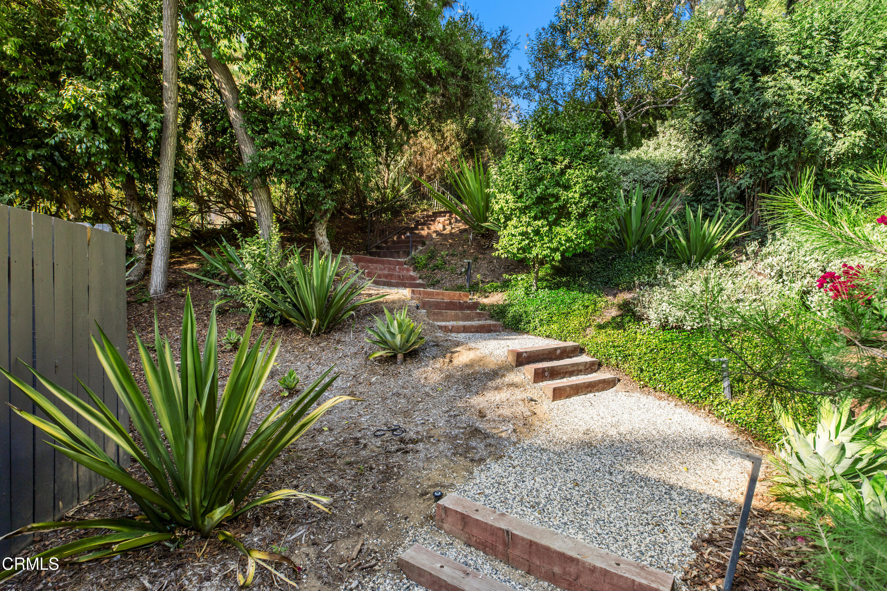 1240 Chateau Road Pasadena, CA 91105 - Photo 41 of 45 a view of a plant in front of a house