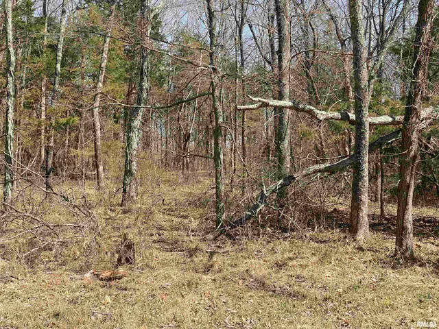 $45,000 | Buckeye Hill, Goreville, IL 62939