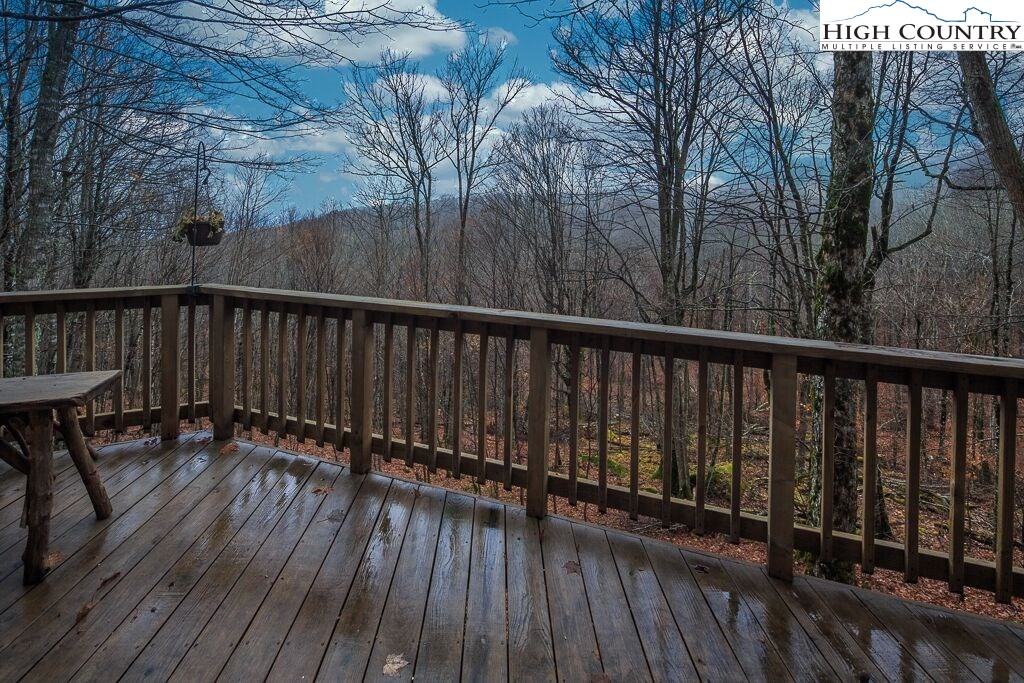 116 Hawthorne Road Beech Mountain, NC 28604 - Photo 27 of 37