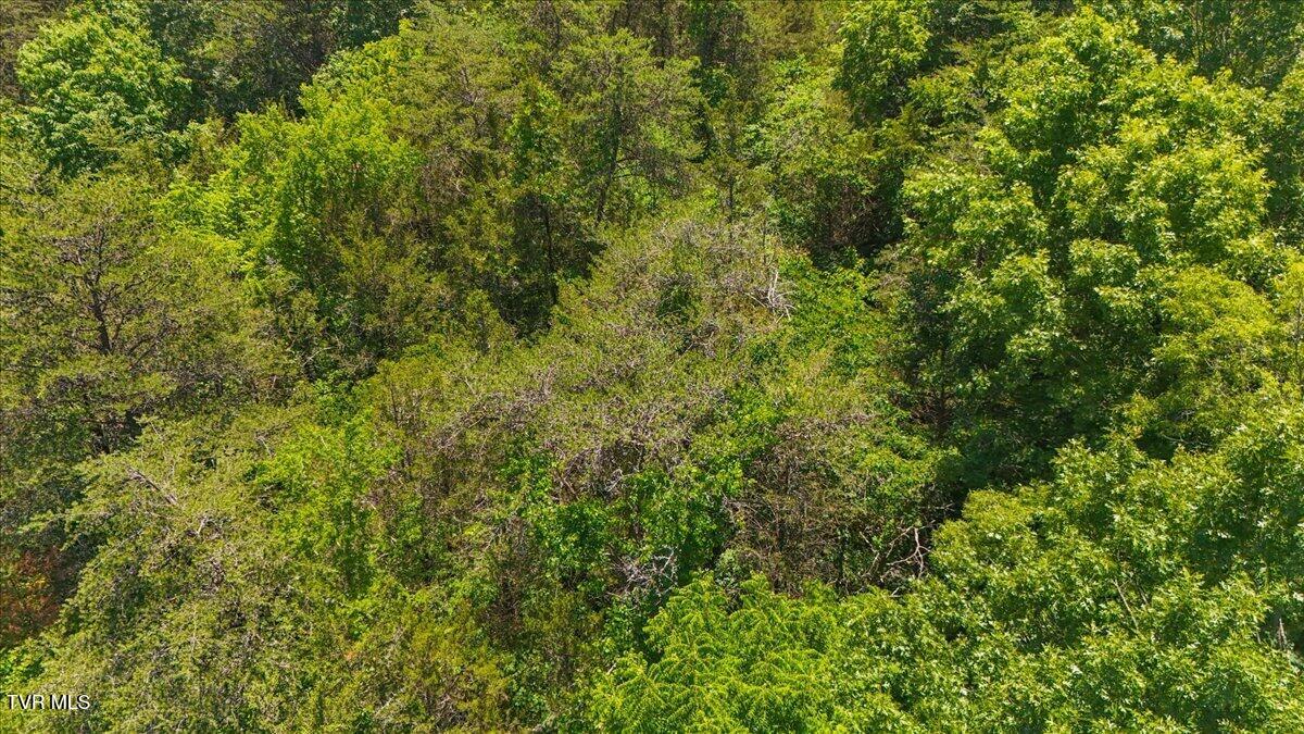 5441 Fred Marshall Road Russellville, TN 37860 - Photo 12 of 20 15-DJI_20260604134329_0931_D