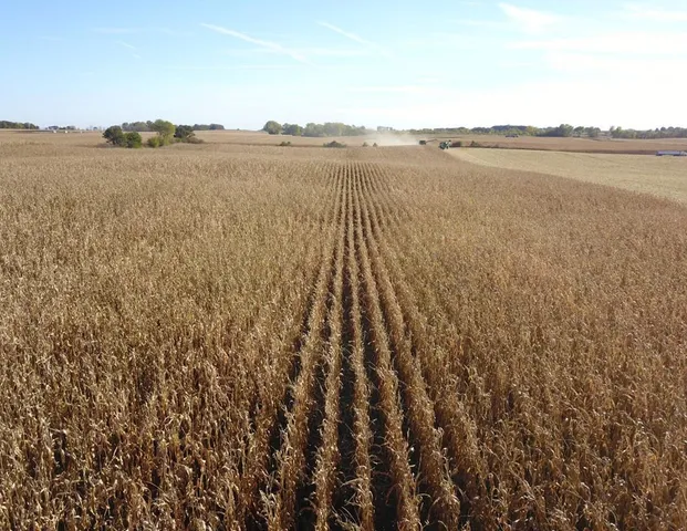 $1,118,000 | Tbd 708th Avenue, Emmons, MN 56029