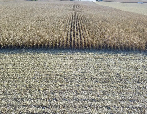 $1,118,000 | Tbd 708th Avenue, Emmons, MN 56029