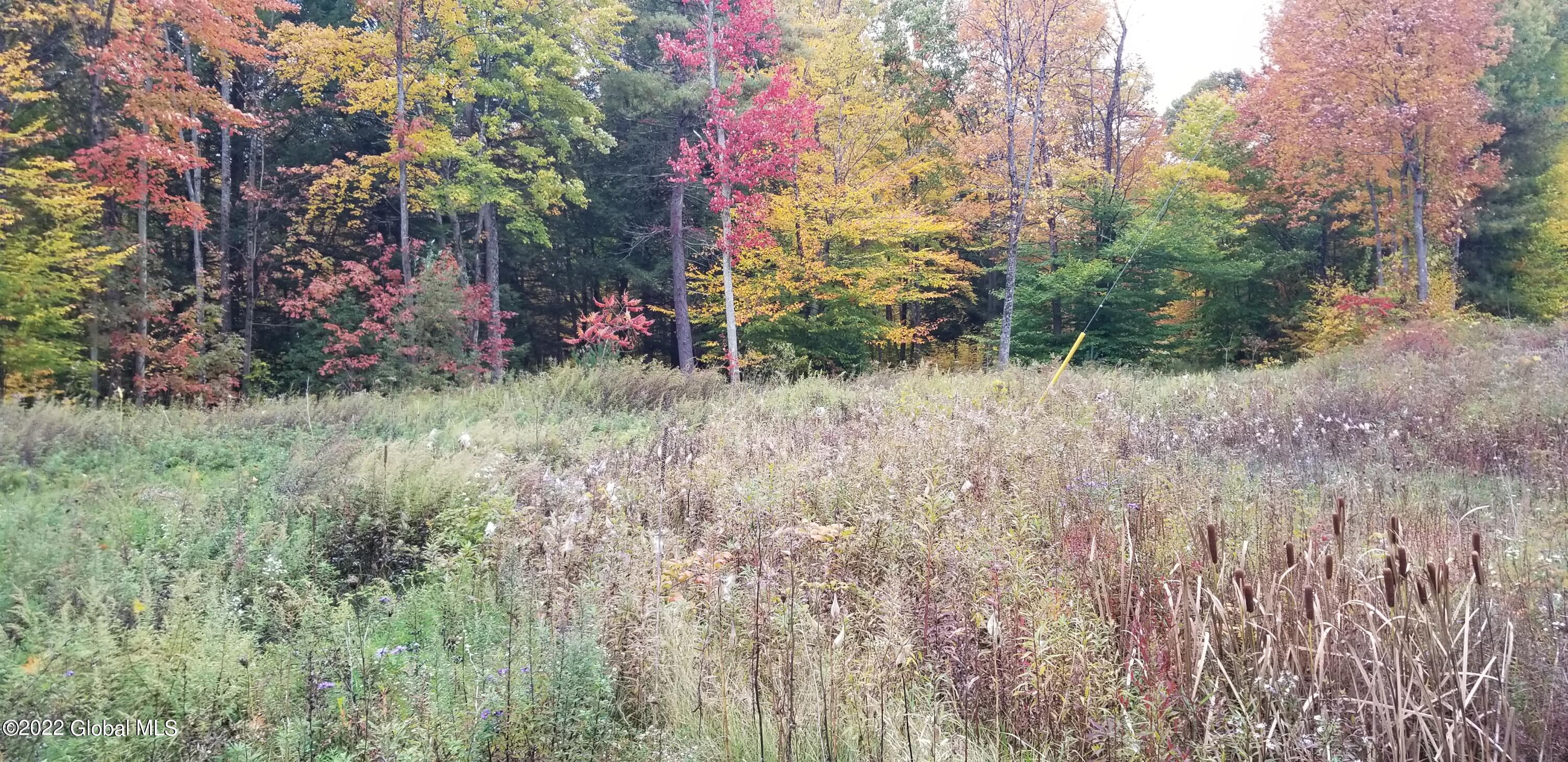 845 Saratoga Road Wilton, NY 12831 - Photo 1 of 6 20221013_101913