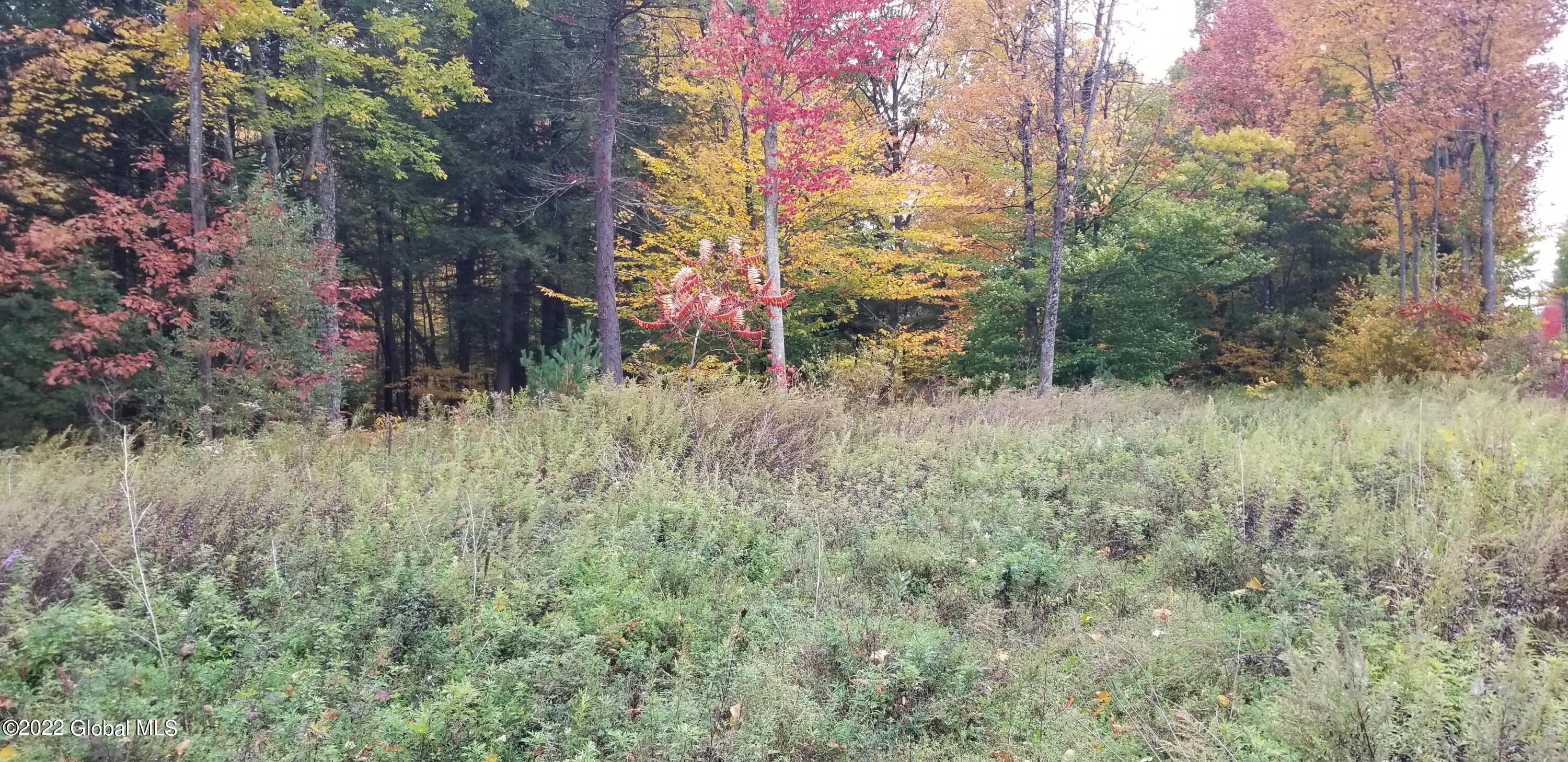 845 Saratoga Road Wilton, NY 12831 - Photo 6 of 6 20221013_102022