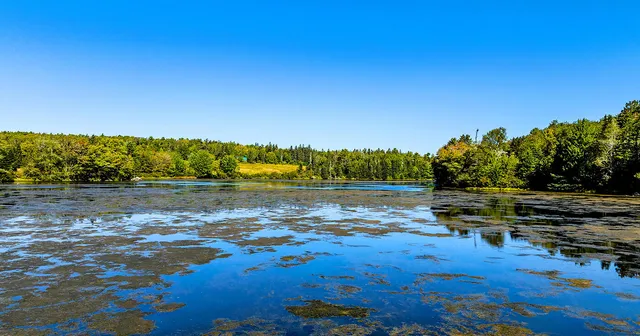 $762,000 | 56 Raccoon, Cushing, ME 04563