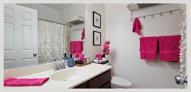 a view of a potted plant sitting in a bathroom