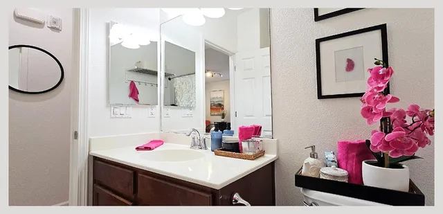 a view of a potted plant and a window in a room