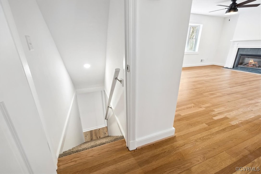 8016 Elkhardt Road North Chesterfield, VA 23235 - Photo 23 of 37 Basement stairs
