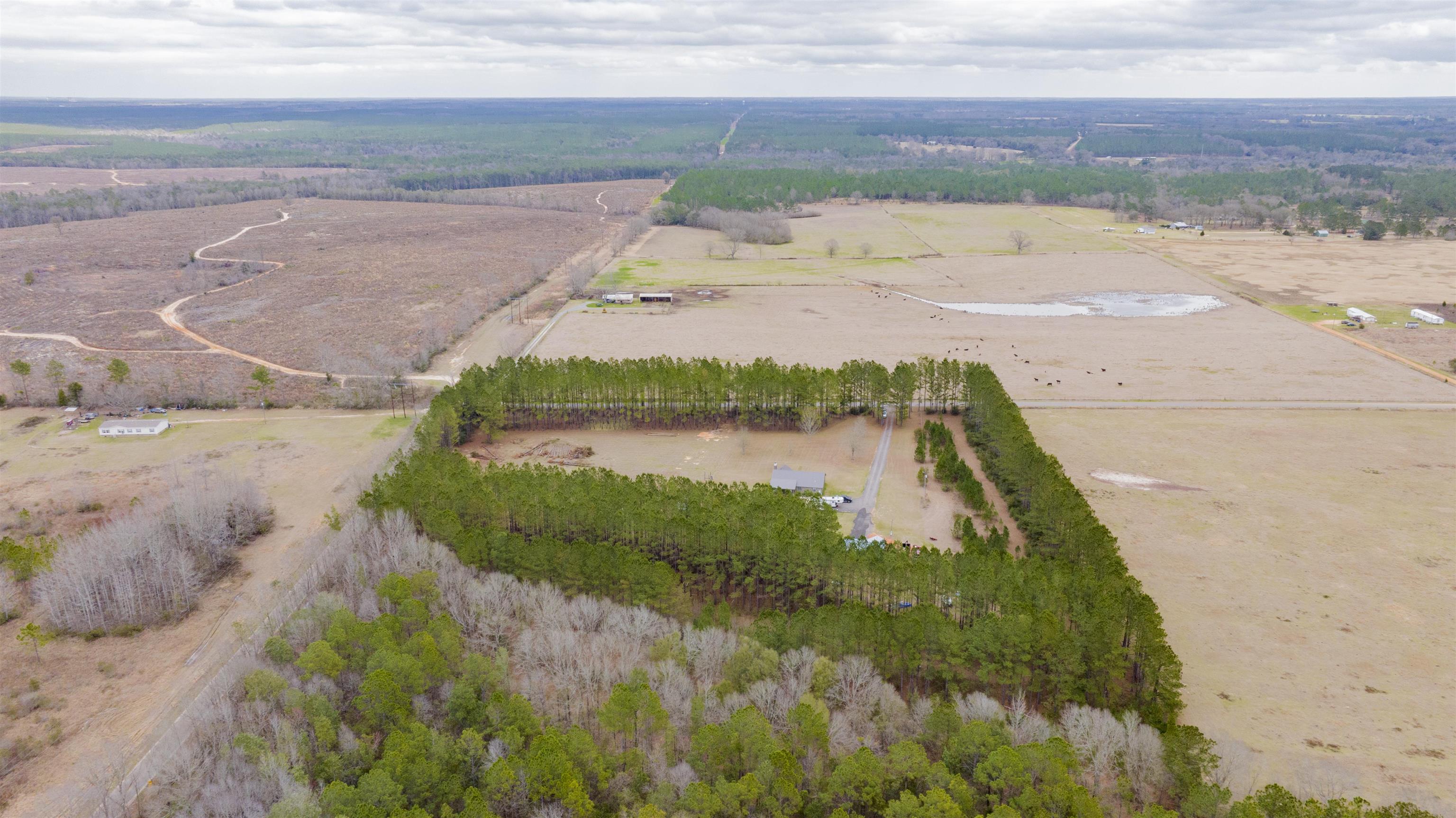 54879 Coleman Road Perdido, AL 36562 - Photo 34 of 38