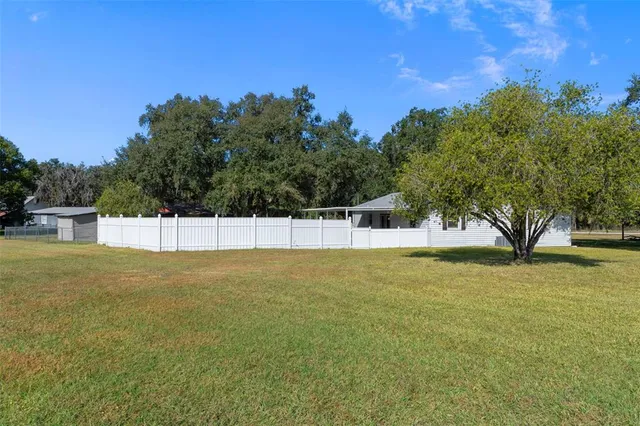 a view of a large trees with flower garden in front of it