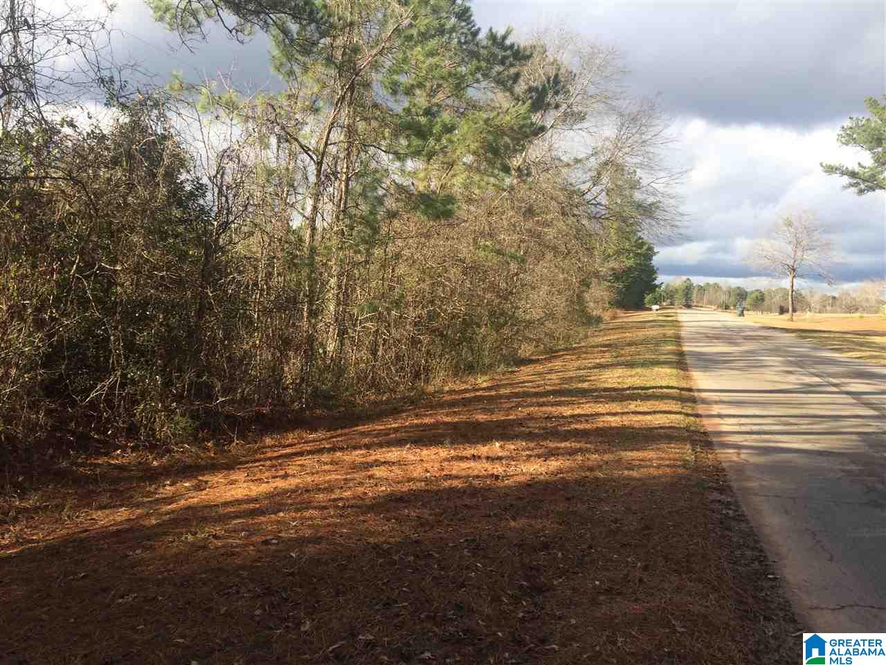 0 Gardner Road, Unit 1 Dadeville, AL 36853 - Photo 1 of 4