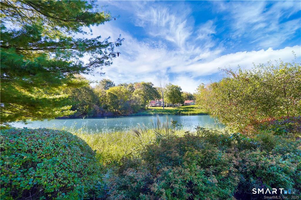 1 Alfred Lane Stamford, CT 06902 - Photo 31 of 35 a view of a lake in between two of trees