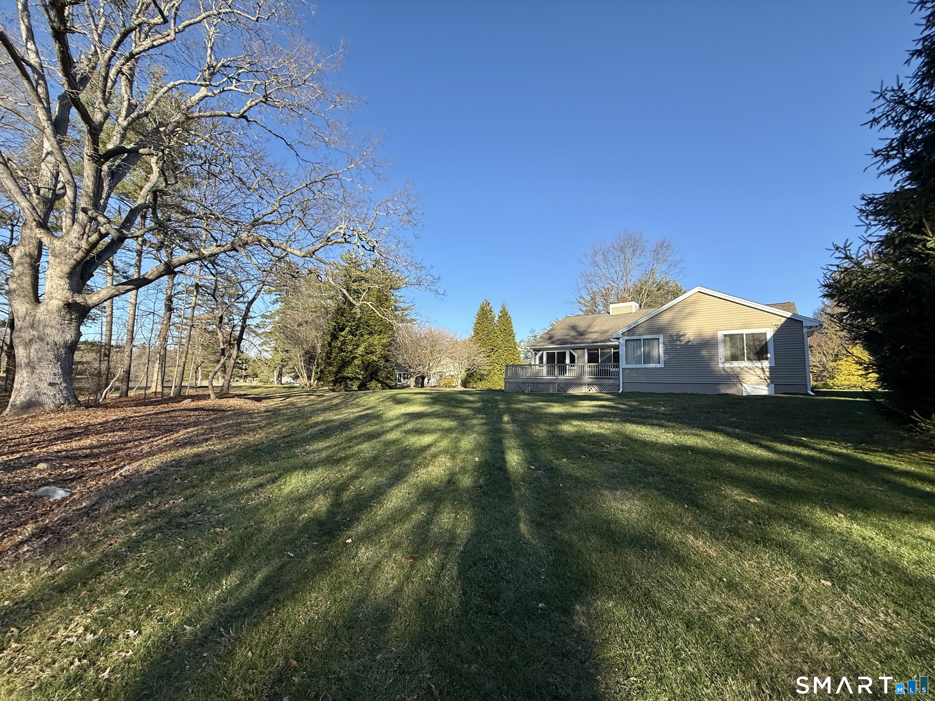 1 Alfred Lane Stamford, CT 06902 - Photo 4 of 35 a view of a town with large trees