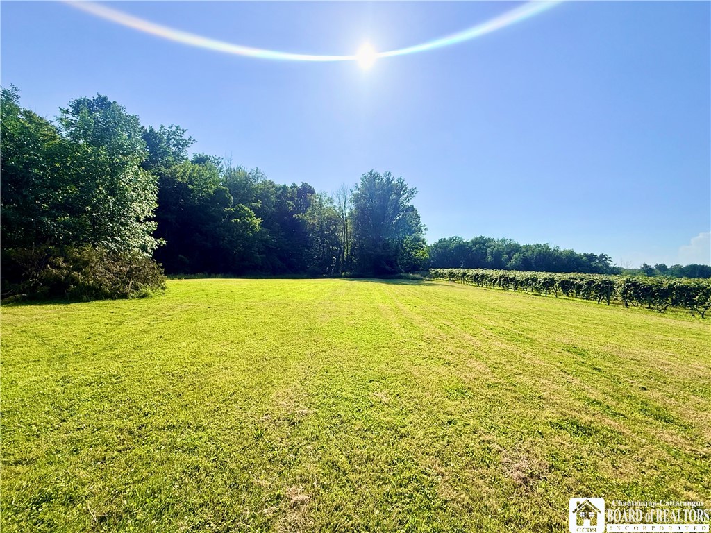 11577 Center Road Sheridan, NY 14048 - Photo 28 of 33